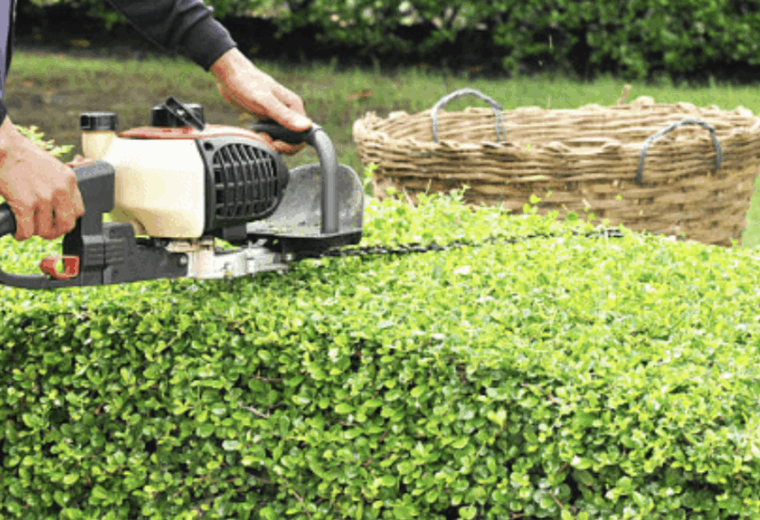 Capture d’écran 2025-11-20 à 17.26.37