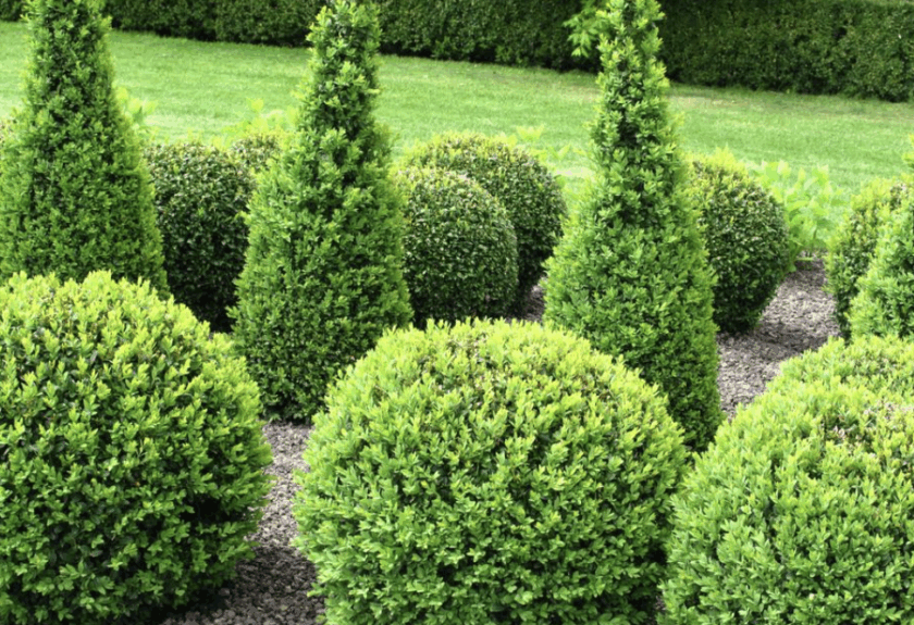 Capture d’écran 2025-11-20 à 17.28.21