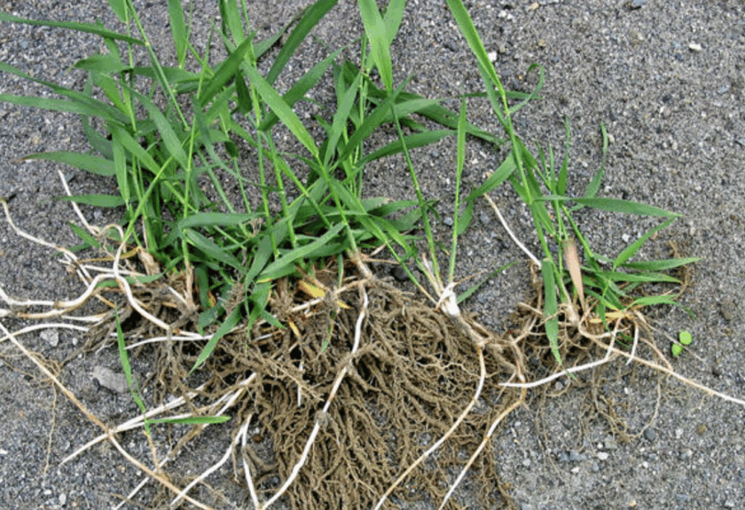 Capture d’écran 2025-11-20 à 17.32.51