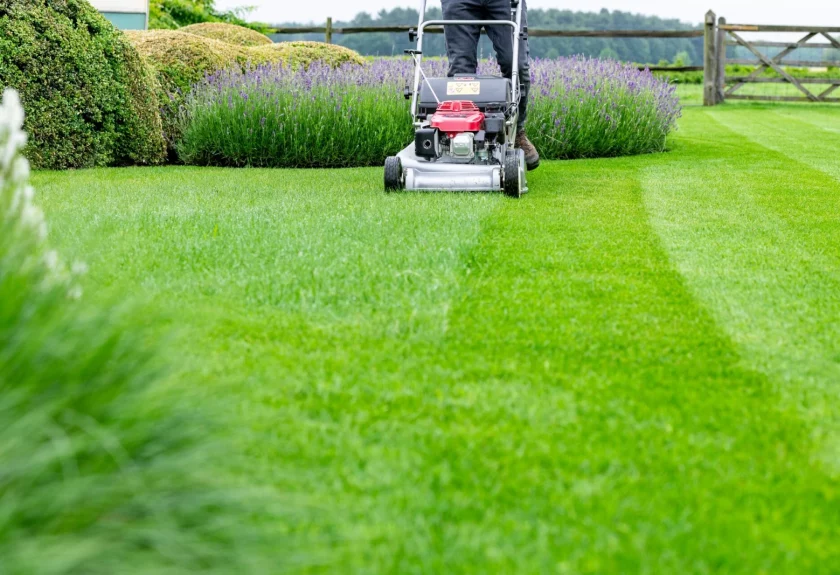 Entretien des espaces verts